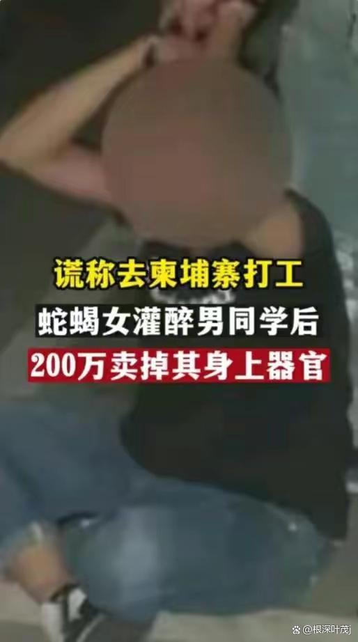 真可怕！女子灌醉小学同学卖给诈骗团伙欲200万转卖其器官！