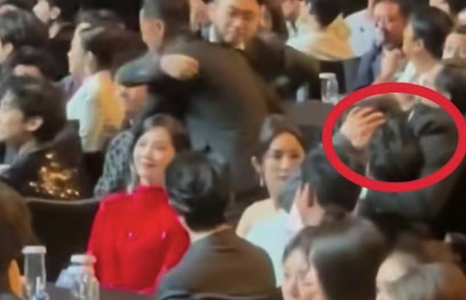 于和伟亲马东全过程曝光，杨幂吃到一手瓜惊出表情包