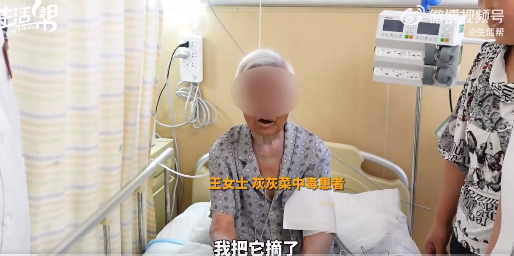 78歲老人吃灰灰菜中毒進(jìn)醫(yī)院搶救 醫(yī)生建議謹(jǐn)慎食用灰灰菜
