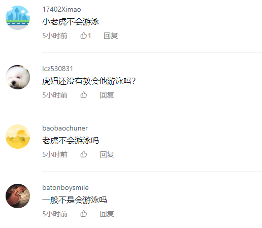 上海动物园回应幼虎疑似溺亡 网友：老虎不是会游泳吗