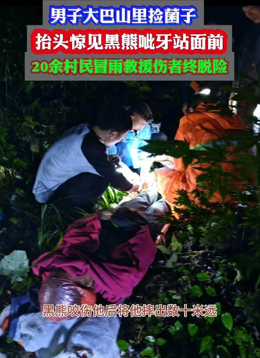 男子捡菌子 一抬头黑熊呲牙站面前 惊魂遭遇野熊袭击