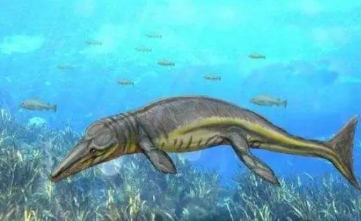 走进4亿年前的地球：生活着那些生物？鱼类“称霸”世界？
