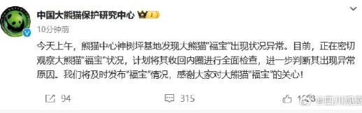 福宝吃笋时发抖引热议，基地回应福宝状况异常：正密切观察福宝情况