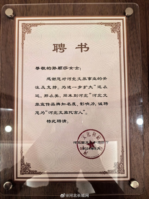 孙颖莎给河北文旅上大分