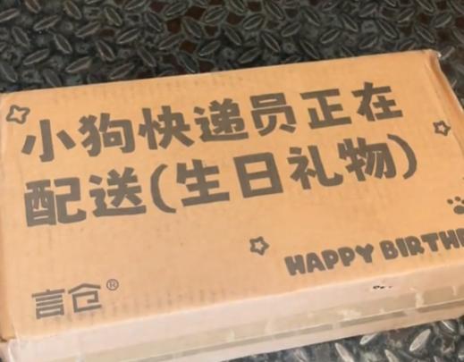 媒体评“小狗快递员正在配送” ，商家玩梗需有度 尊重职业身份