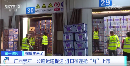 源源不断！泰国越南榴莲每天源源不断上新