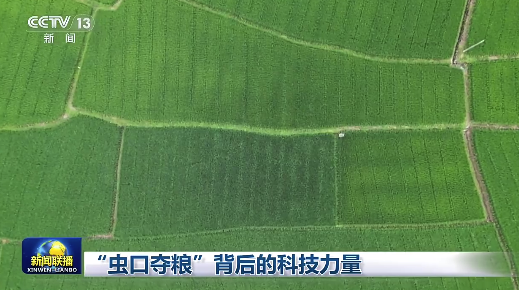 中国雷达可监测昆虫踪迹