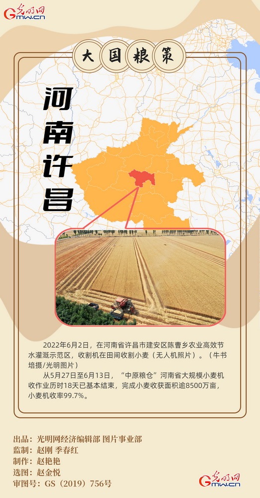 【大国“粮”策】创意海报丨全国小麦收获逾九成 又到夏粮好“丰景”