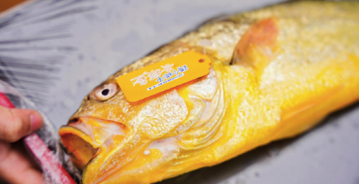 磁控冰箱冻了60天的黄鱼是什么样子？