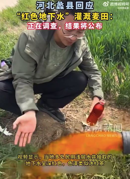 自产小麦不敢吃销往市场？河北当地回应红色地下水灌溉麦田 