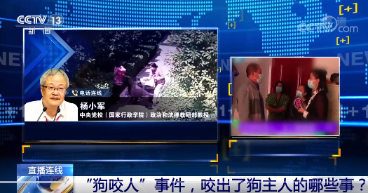 专家谈王新刚拒不道歉底气何来 