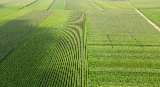 榆林市定边县：科技赋能 助力旱作节水农业提档升级