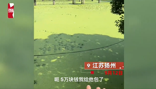 男子5万承包野鱼塘仅捞出4条鱼