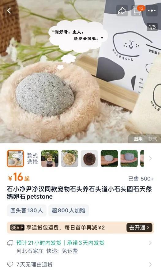 99后女生靠卖石头月入过万 宠物石经济悄然兴起