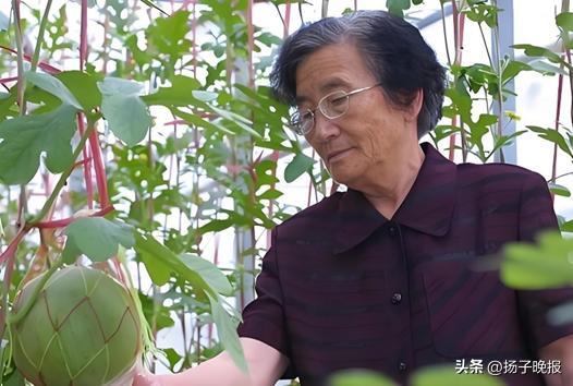 埃文凱爾看望吳明珠奶奶 西瓜科研背后的感人故事