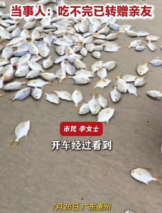 专家提醒台风吹来的海鲜慎食