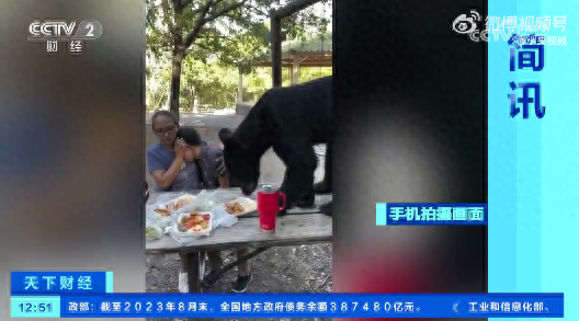 墨西哥一黑熊闯入家庭野餐：跳上餐桌狼吞虎咽，母亲紧捂儿子双眼