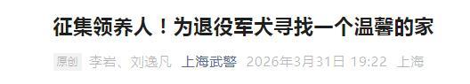 上海6只军犬退役面向社会招募领养人