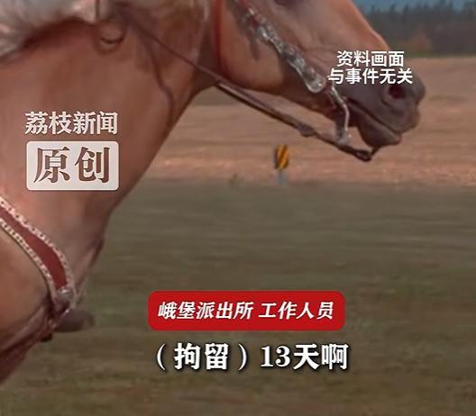 女子称骑马时遭马场教练猥亵2026线上股票配资，警方：已行政拘留13天