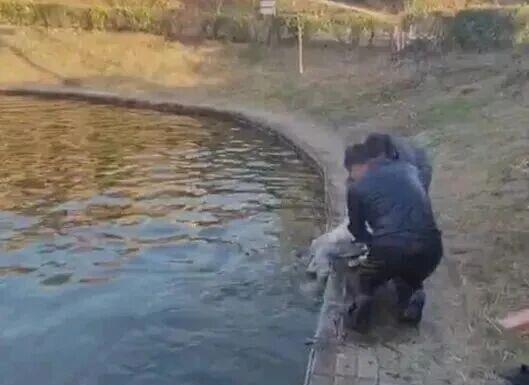 刷屏全网的黑衣男子找到了 英勇救人不留名