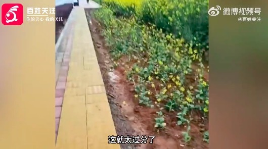 当地回应老人为种菜撬毁人行道：系道路修建时违规占用耕地