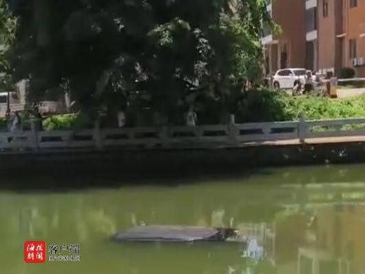 海口一汽车撞毁护栏冲入河中