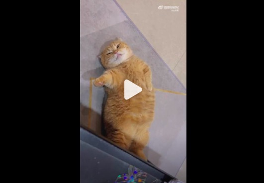 这样睡觉显手长对吗