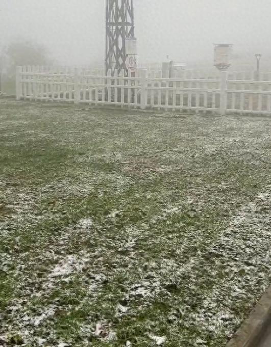 郑州洛阳等河南多地下雪了！
