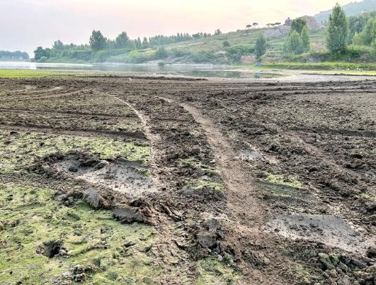 青岛阿勒泰网红草地遭越野车队碾轧 植被受损引关注
