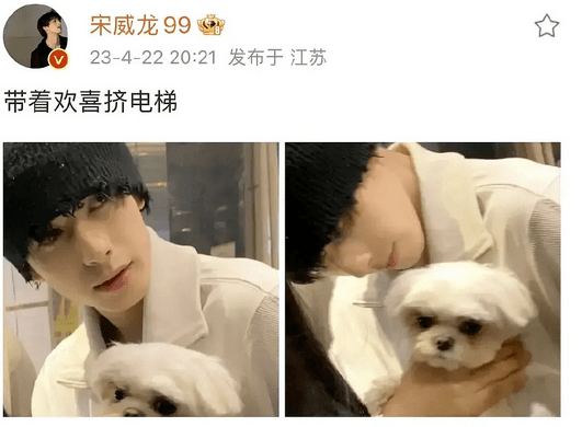 王一博出轨的瓜？白鹿媚男厌女？杨洋甩了王楚然？谢娜倒油杨幂？关晓彤宋威龙暧昧？某女星被渣男骗钱？小扒问答回复