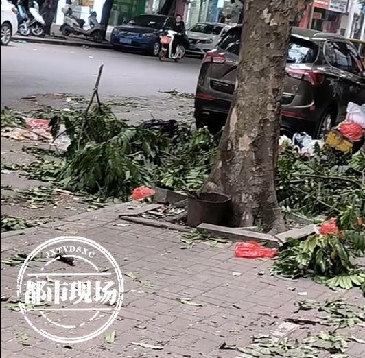 环卫工遭拖欠工资后罢工 街道垃圾遍地引发关注