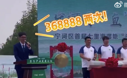 54斤头鱼368888元被拍下，将用于七里海湿地保护