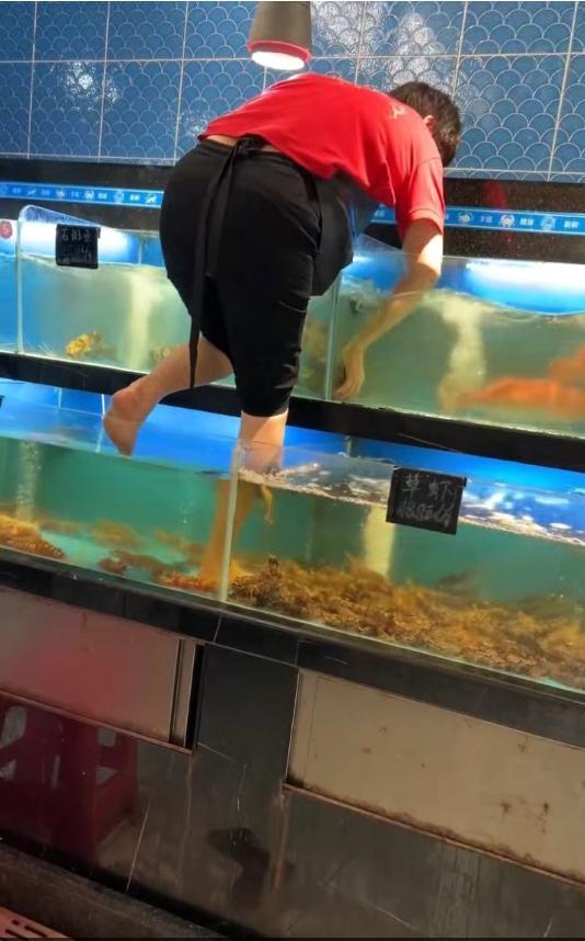女子光脚踩水族箱擦玻璃 超市回应 海鲜区已下架处理