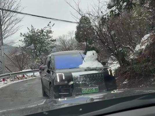 南方雪后車均一個雪人下山 創(chuàng)意堆雪人成熱點