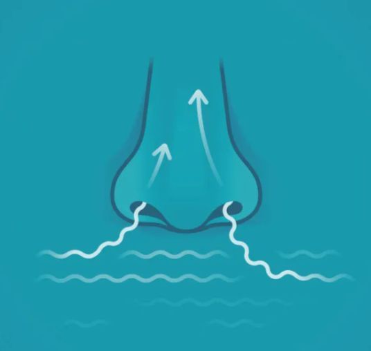 孕期接触杀菌剂影响持续20代 跨代遗传危机