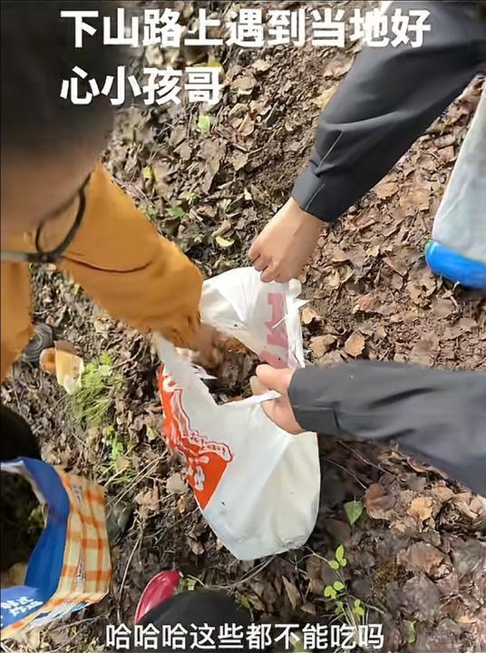 情侣采10斤菌子被本地小孩哥扔8斤 AI不如本地娃