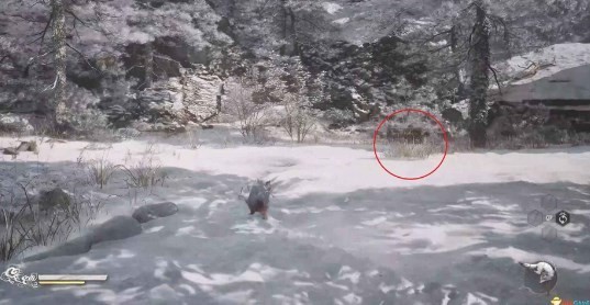 《黑神话：悟空》波波浪浪支线流程