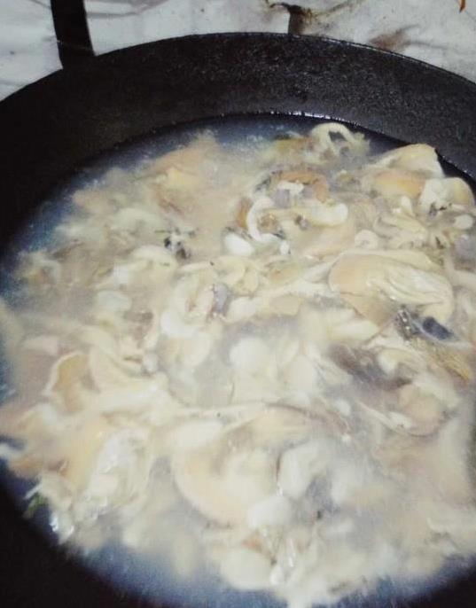 河蚌走红餐桌，蛋白质秒杀牛奶4倍，你敢不敢试？