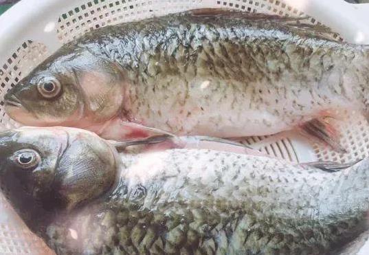 羊肉汤膻味难喝？加“1红1黑”秒变奶白香浓，鲜到停不下来