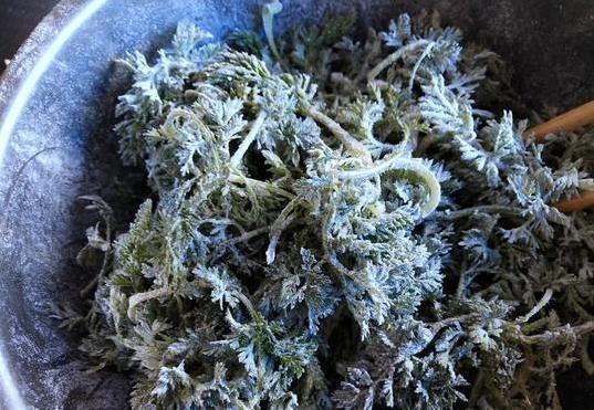 眼睛干涩吃这菜，蒸8分钟清爽上桌，护眼又省钱你试过没？