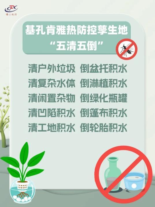 如何应对基孔肯雅热 专家解读与防控建议
