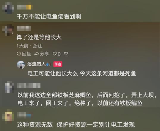 浙江一溪流铁板芝麻鲫大爆发 罕见鱼群引发热议