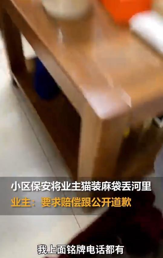 小区保安将业主宠物猫装袋扔河，物业回应：不就死了一只猫！