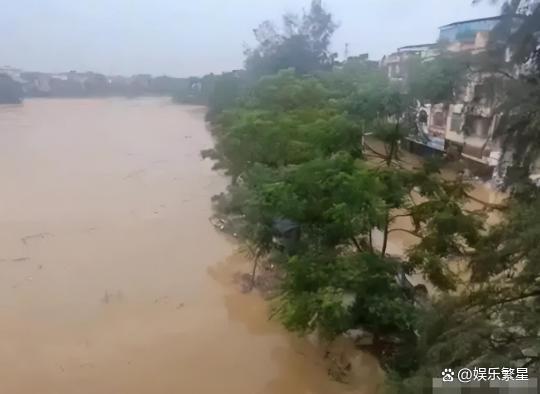 官方辟谣越南鸭子随洪水漂流至广西 暴雨成灾，南宁变“水乡”