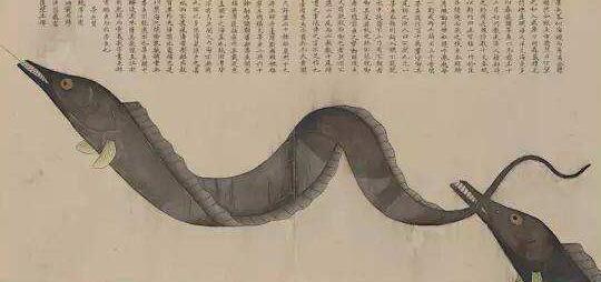 海鲜在古代居然叫做“海错”，只有王公贵族才能享用！从《桃花映江山》中看古代美食！