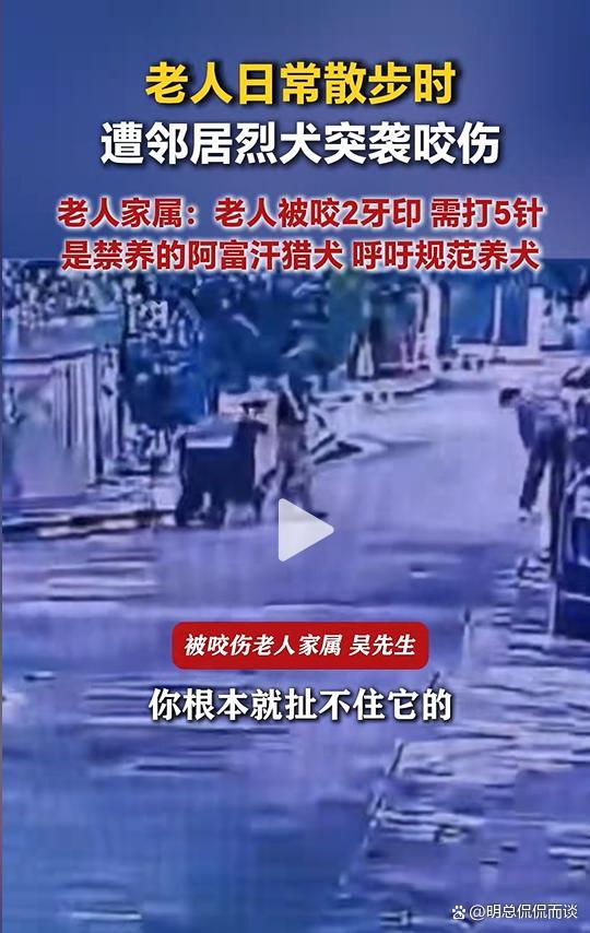 老人散步被邻居家烈犬咬伤 禁养犬惹祸引发关注
