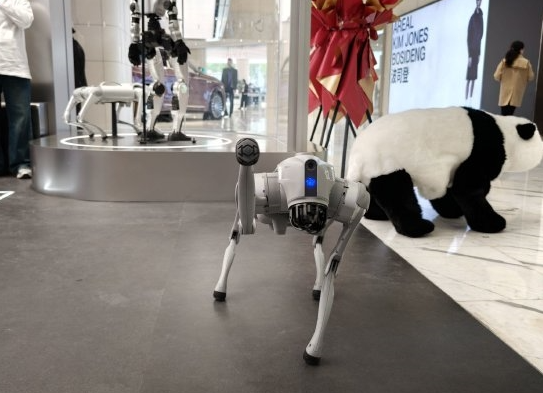 宇树首家直营店人形机器人价格超10万 高管：价格亲民