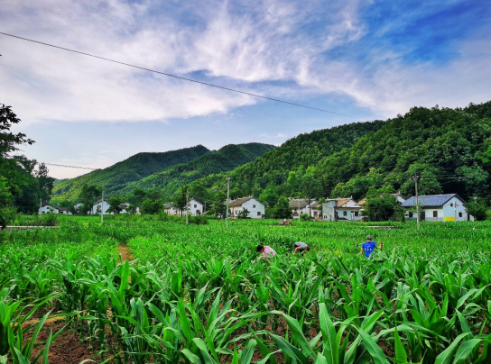 7旬孤寡老人拍遗照笑得像孩子 85后妹子为老人圆梦