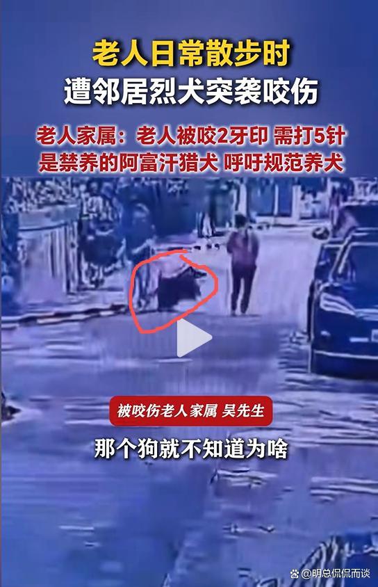 老人散步被邻居家烈犬咬伤 禁养犬惹祸引发关注