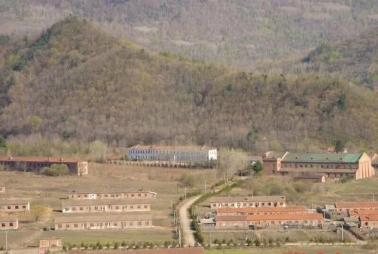 辛巴：命剩8年，火速退网 真假退网再引争议